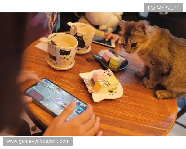 博亚体育官网赛事直播助力玩家实时追踪赛事进程享受沉浸式观赛体验